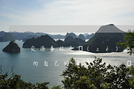 交通事故全責(zé)方逃逸或不賠錢，怎么向自己的保險(xiǎn)公司索賠？